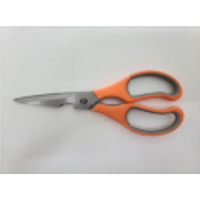 Stainless Steel Kitchen Scissor